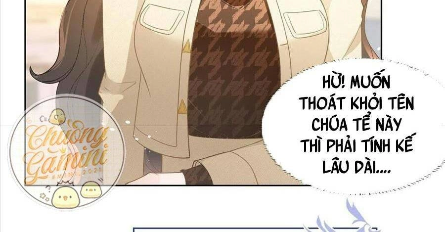 Boss Sát Thủ Dưỡng Hồ Yêu Chapter 22 - 61