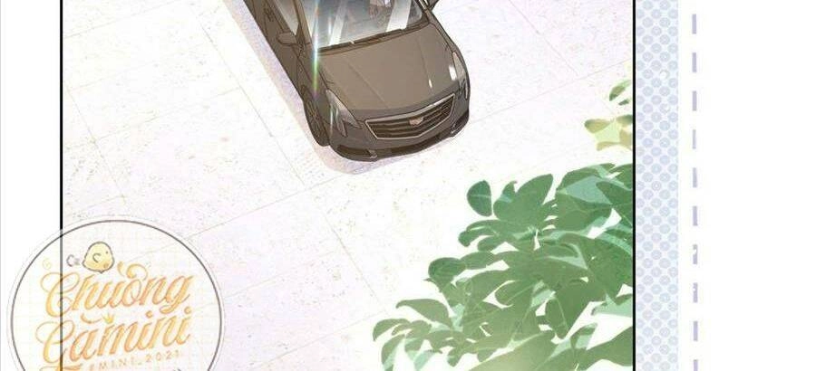 Boss Sát Thủ Dưỡng Hồ Yêu Chapter 22 - 65