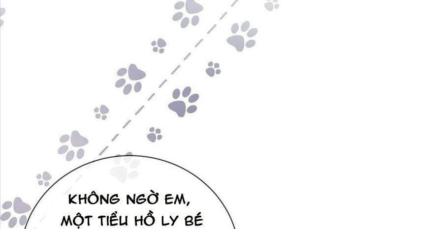 Boss Sát Thủ Dưỡng Hồ Yêu Chapter 22 - 135