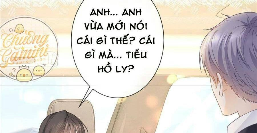 Boss Sát Thủ Dưỡng Hồ Yêu Chapter 23 - 8