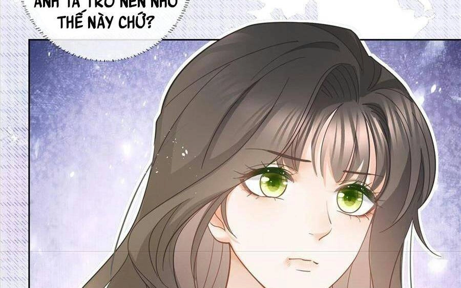 Boss Sát Thủ Dưỡng Hồ Yêu Chapter 23 - 36