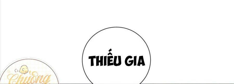 Boss Sát Thủ Dưỡng Hồ Yêu Chapter 23 - 43