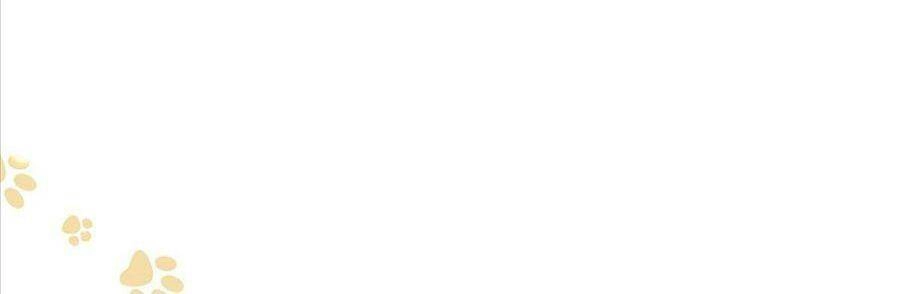 Boss Sát Thủ Dưỡng Hồ Yêu Chapter 24 - 15