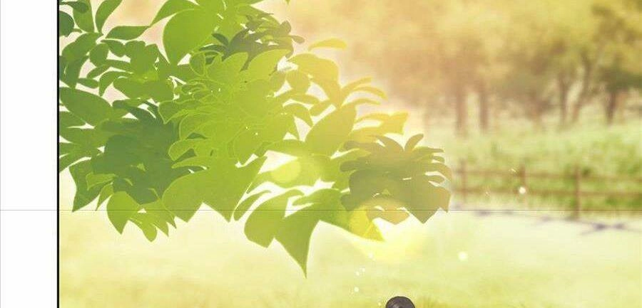 Boss Sát Thủ Dưỡng Hồ Yêu Chapter 26 - 36