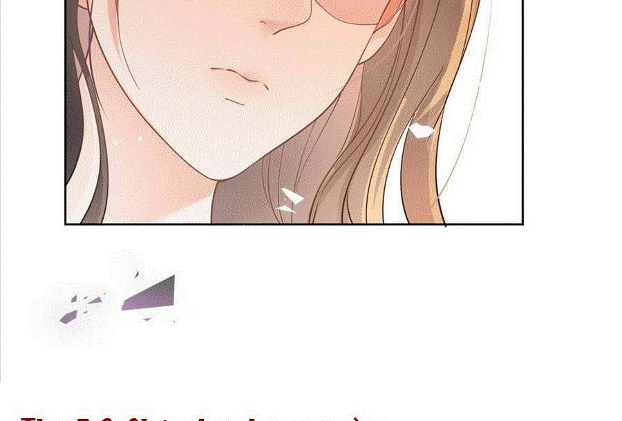 Boss Sát Thủ Dưỡng Hồ Yêu Chapter 26 - 68