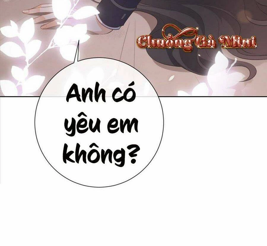 Boss Sát Thủ Dưỡng Hồ Yêu Chapter 27 - 69