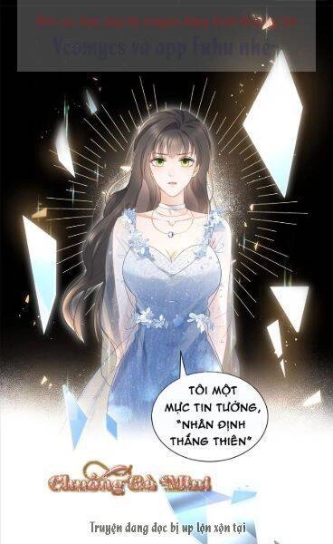 Boss Sát Thủ Dưỡng Hồ Yêu Chapter 28 - 42