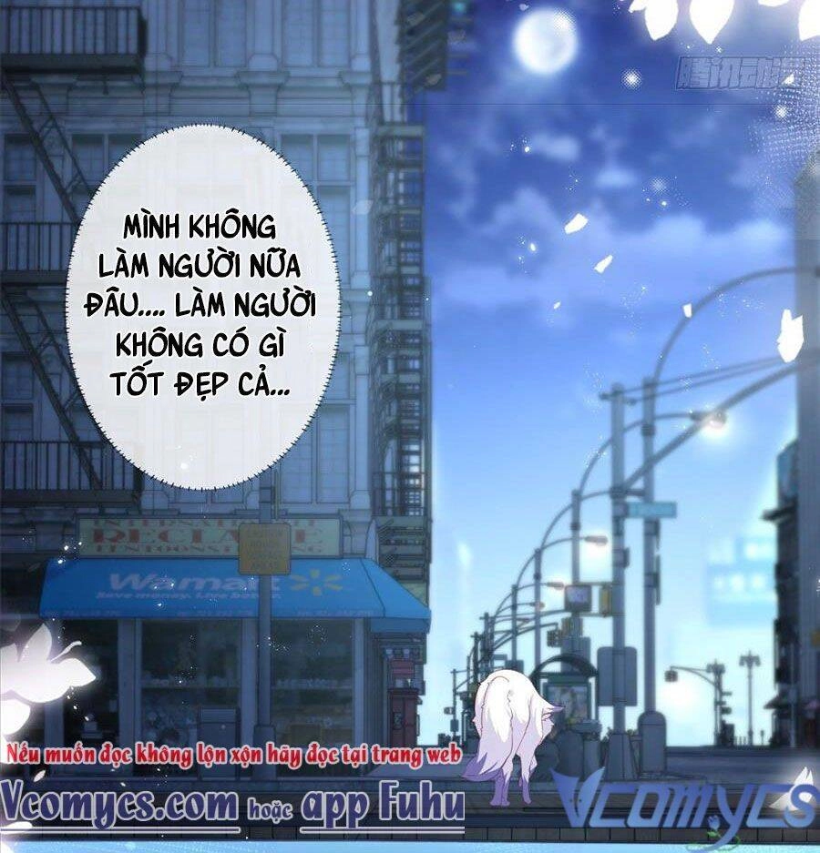 Boss Sát Thủ Dưỡng Hồ Yêu Chapter 29 - 33