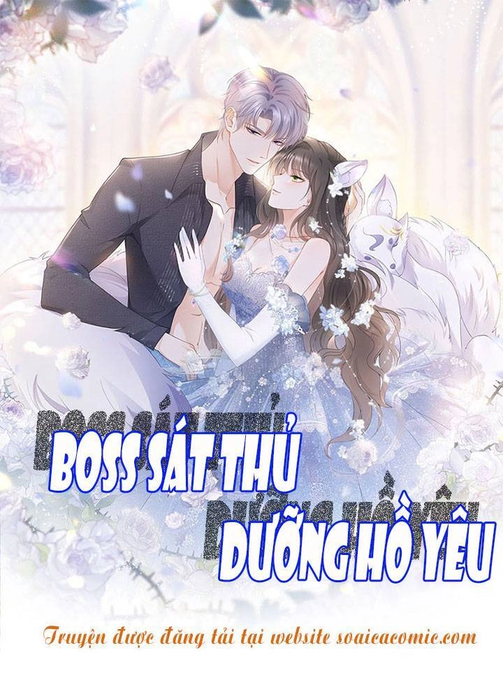 Boss Sát Thủ Dưỡng Hồ Yêu Chapter 33 - 1