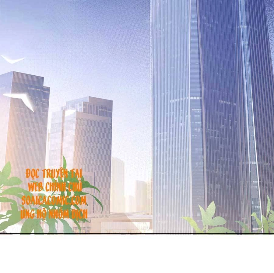 Boss Sát Thủ Dưỡng Hồ Yêu Chapter 34 - 19