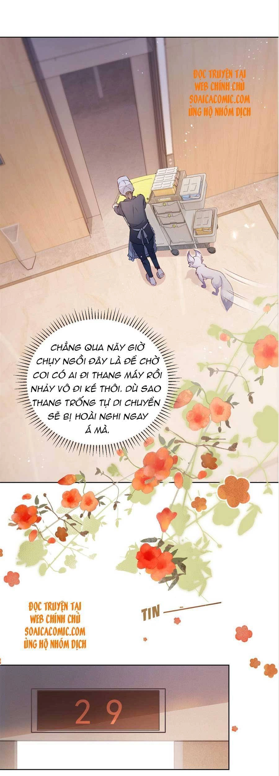 Boss Sát Thủ Dưỡng Hồ Yêu Chapter 35 - 13