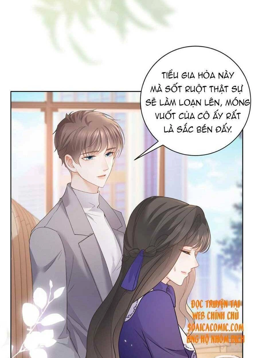 Boss Sát Thủ Dưỡng Hồ Yêu Chapter 43 - 17