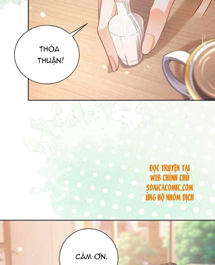 Boss Sát Thủ Dưỡng Hồ Yêu Chapter 43 - 20