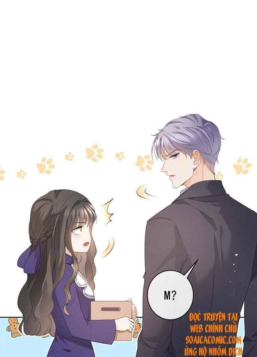 Boss Sát Thủ Dưỡng Hồ Yêu Chapter 43 - 39