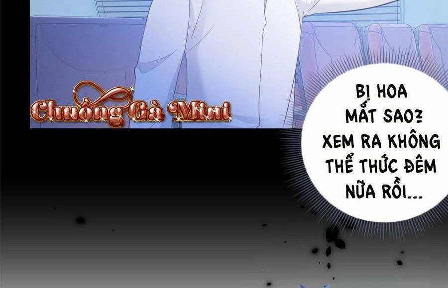 Boss Sát Thủ Dưỡng Hồ Yêu Chapter 51 - 47