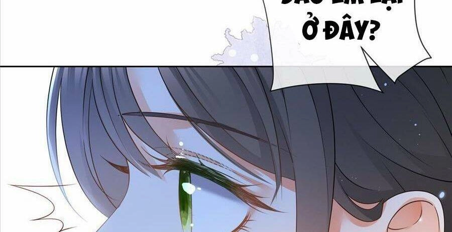 Boss Sát Thủ Dưỡng Hồ Yêu Chapter 52 - 23