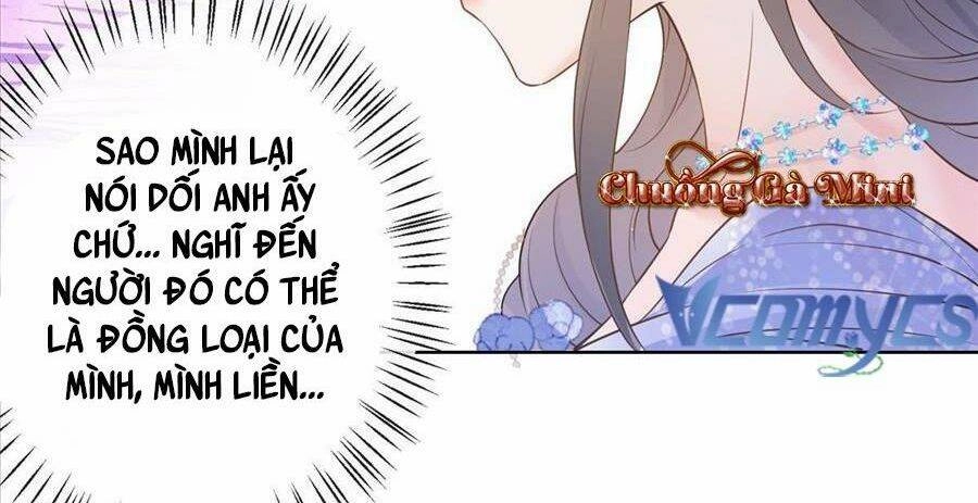 Boss Sát Thủ Dưỡng Hồ Yêu Chapter 52 - 42