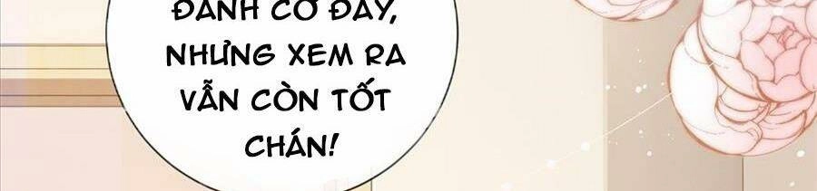 Boss Sát Thủ Dưỡng Hồ Yêu Chapter 53 - 65