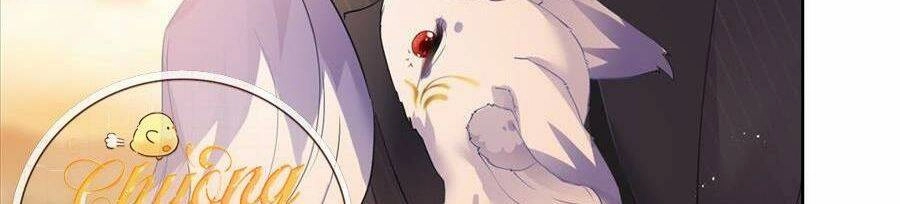 Boss Sát Thủ Dưỡng Hồ Yêu Chapter 54 - 32