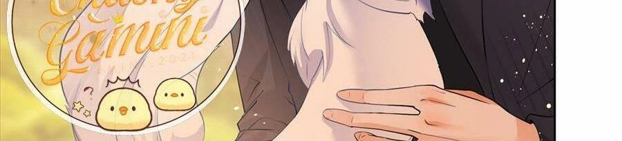 Boss Sát Thủ Dưỡng Hồ Yêu Chapter 54 - 33