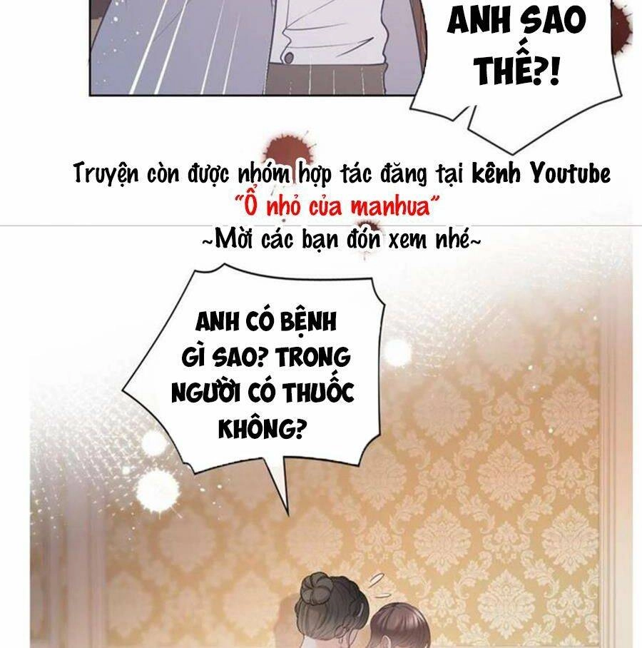 Boss Sát Thủ Dưỡng Hồ Yêu Chapter 66 - 19