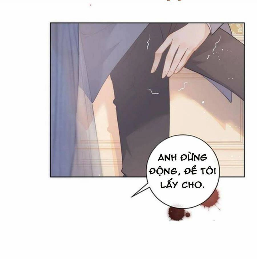 Boss Sát Thủ Dưỡng Hồ Yêu Chapter 66 - 21