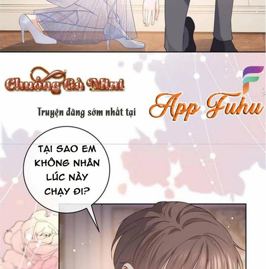 Boss Sát Thủ Dưỡng Hồ Yêu Chapter 66 - 24