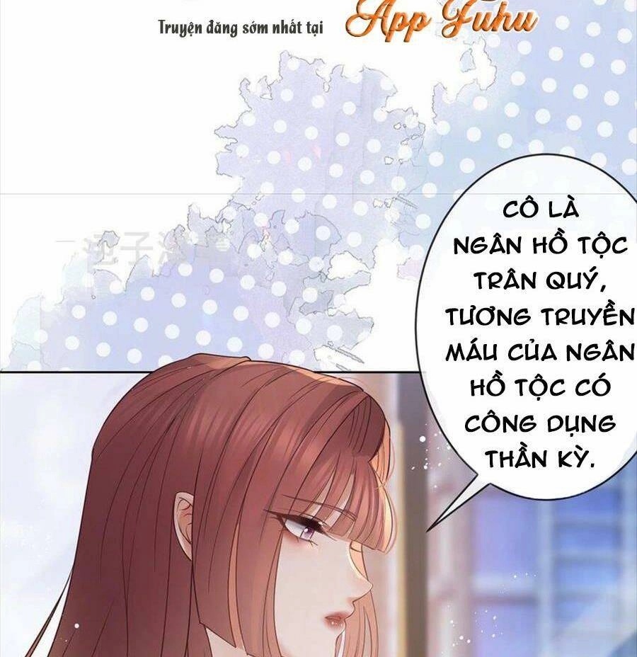 Boss Sát Thủ Dưỡng Hồ Yêu Chapter 70 - 35