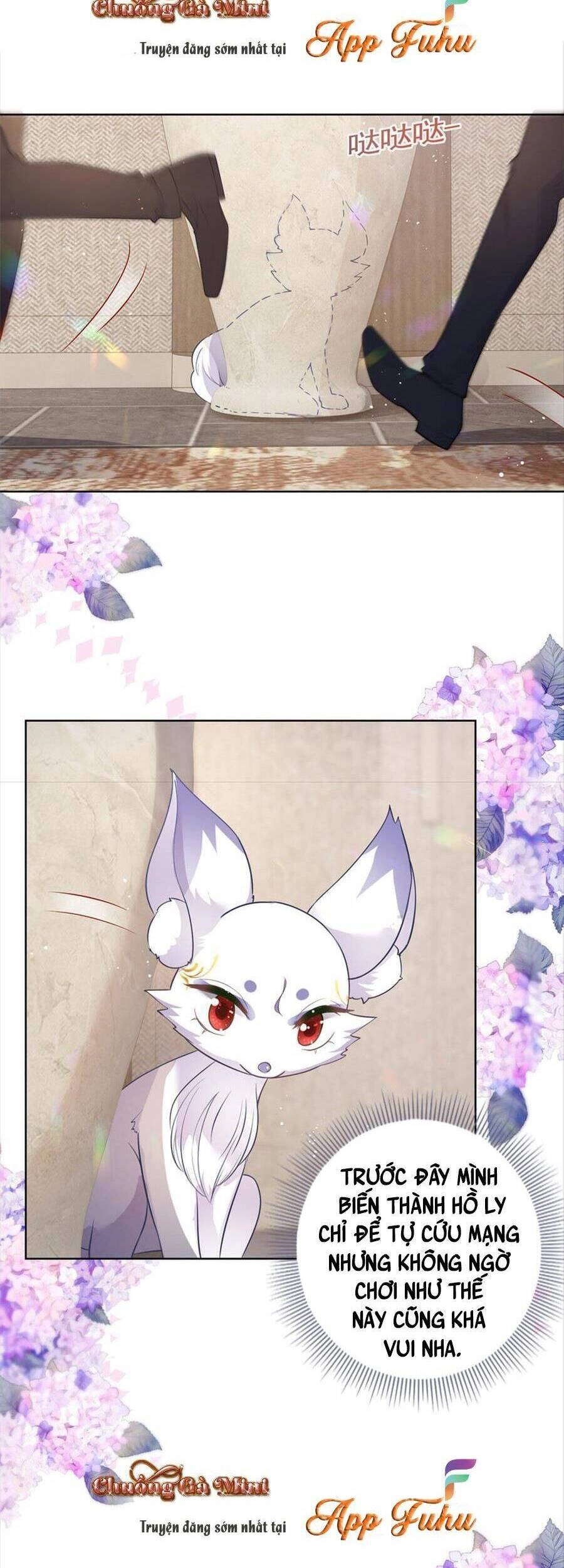 Boss Sát Thủ Dưỡng Hồ Yêu Chapter 71 - 12