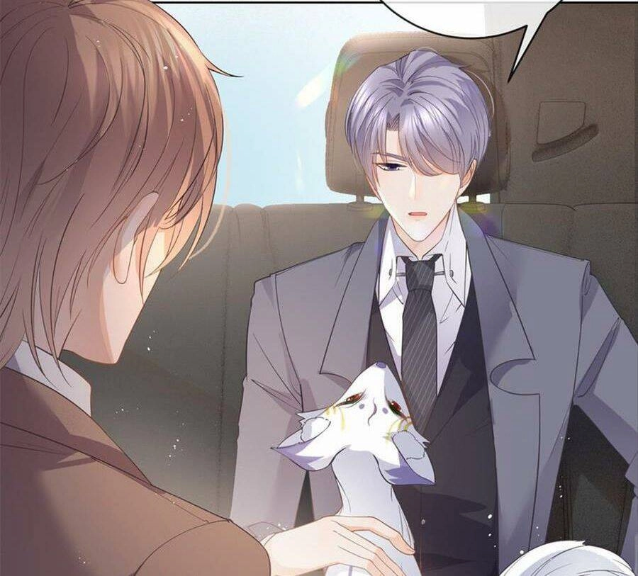 Boss Sát Thủ Dưỡng Hồ Yêu Chapter 72 - 18