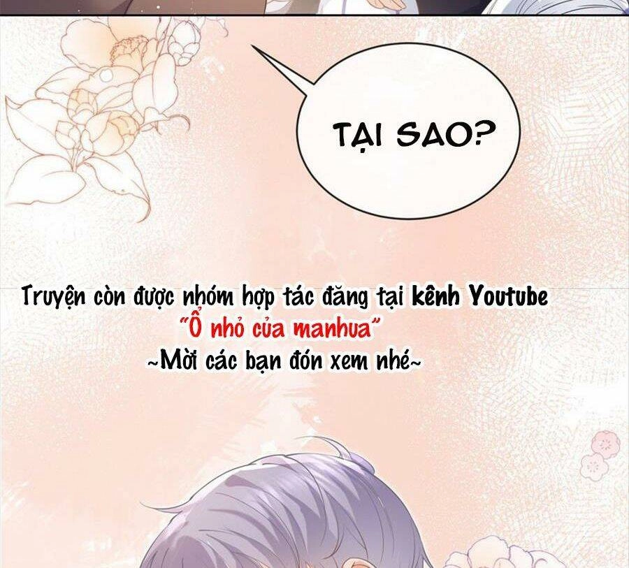 Boss Sát Thủ Dưỡng Hồ Yêu Chapter 72 - 19