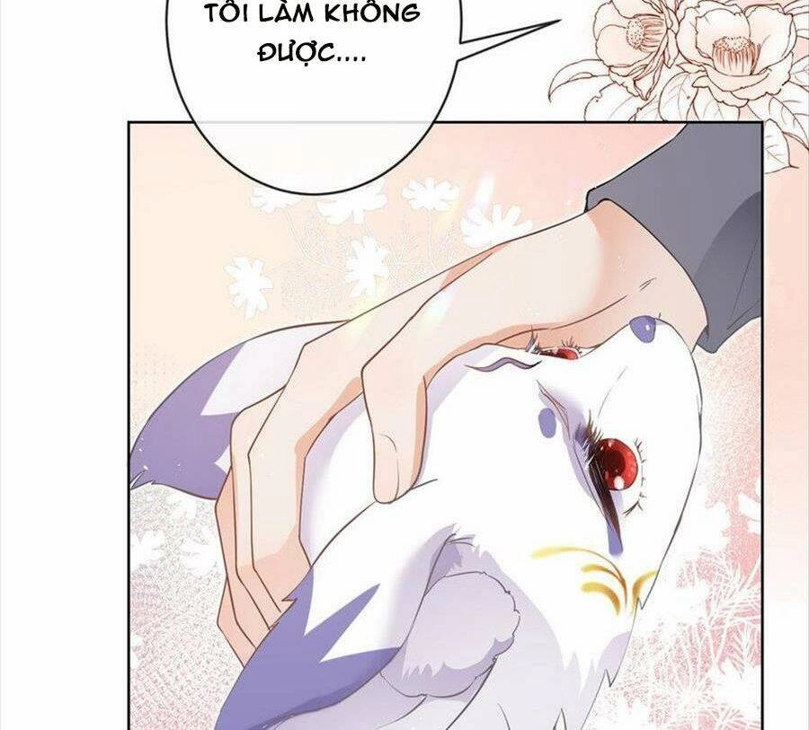 Boss Sát Thủ Dưỡng Hồ Yêu Chapter 72 - 22