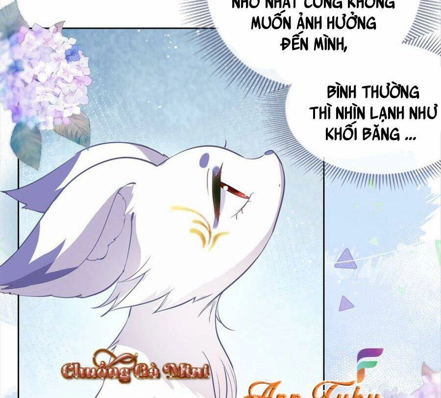 Boss Sát Thủ Dưỡng Hồ Yêu Chapter 72 - 29