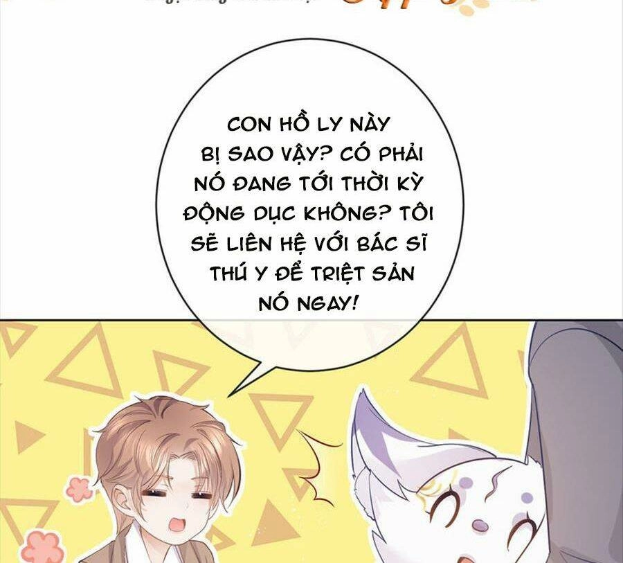 Boss Sát Thủ Dưỡng Hồ Yêu Chapter 72 - 34