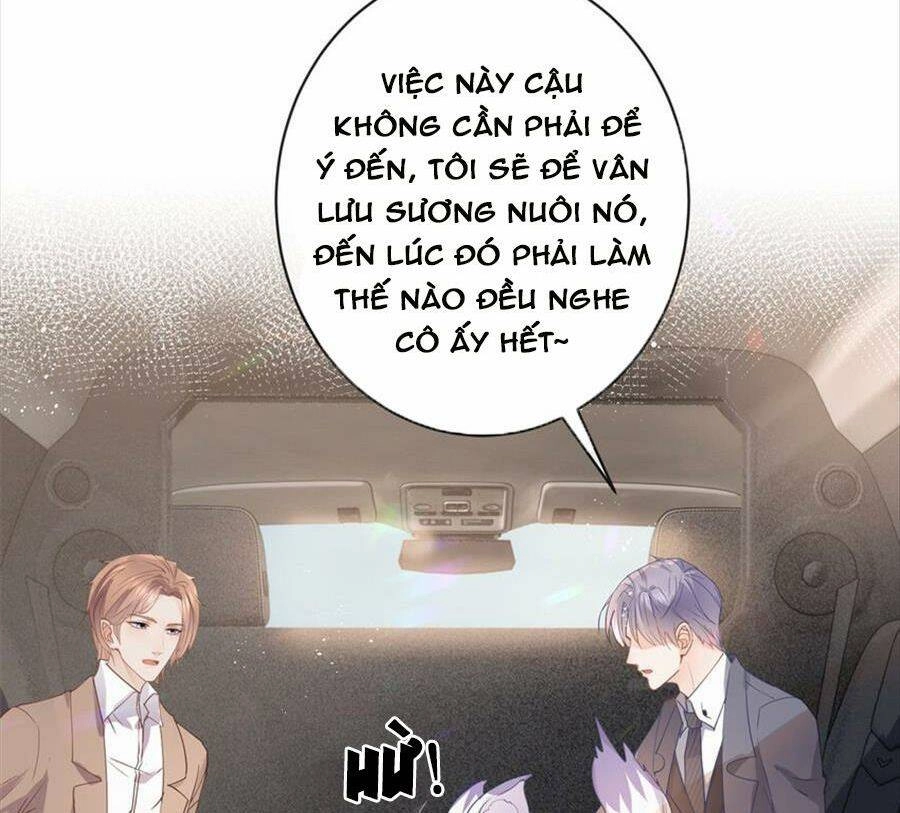 Boss Sát Thủ Dưỡng Hồ Yêu Chapter 72 - 36