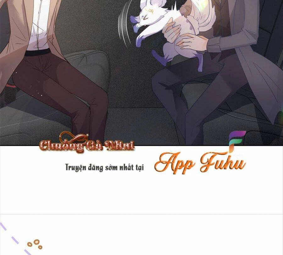 Boss Sát Thủ Dưỡng Hồ Yêu Chapter 72 - 37