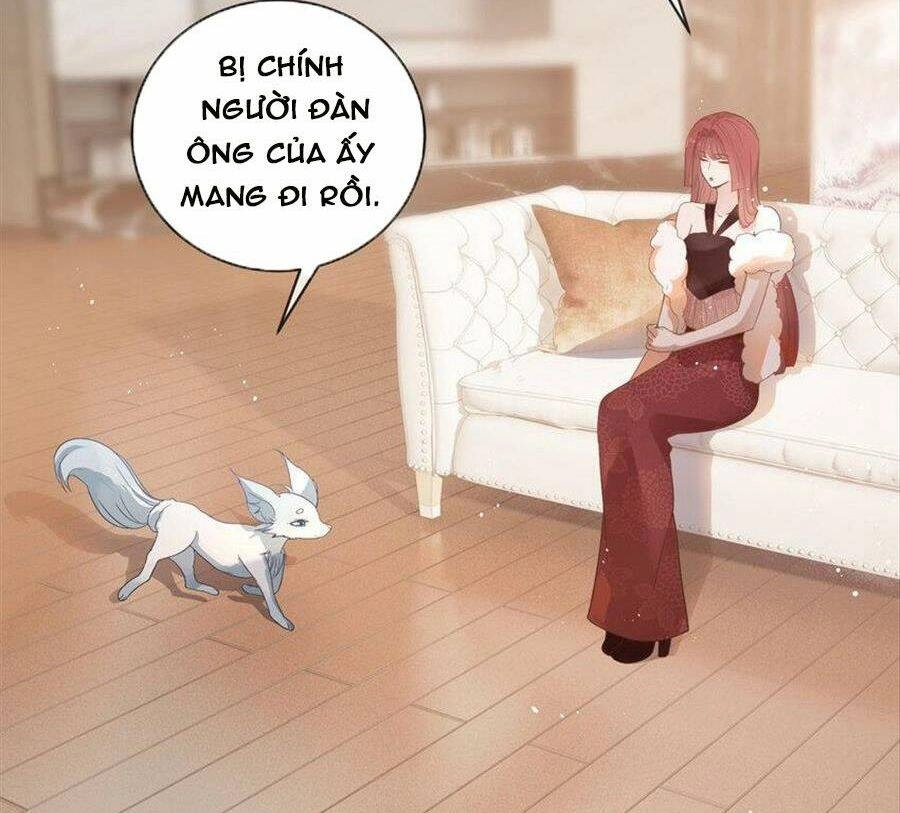 Boss Sát Thủ Dưỡng Hồ Yêu Chapter 72 - 42