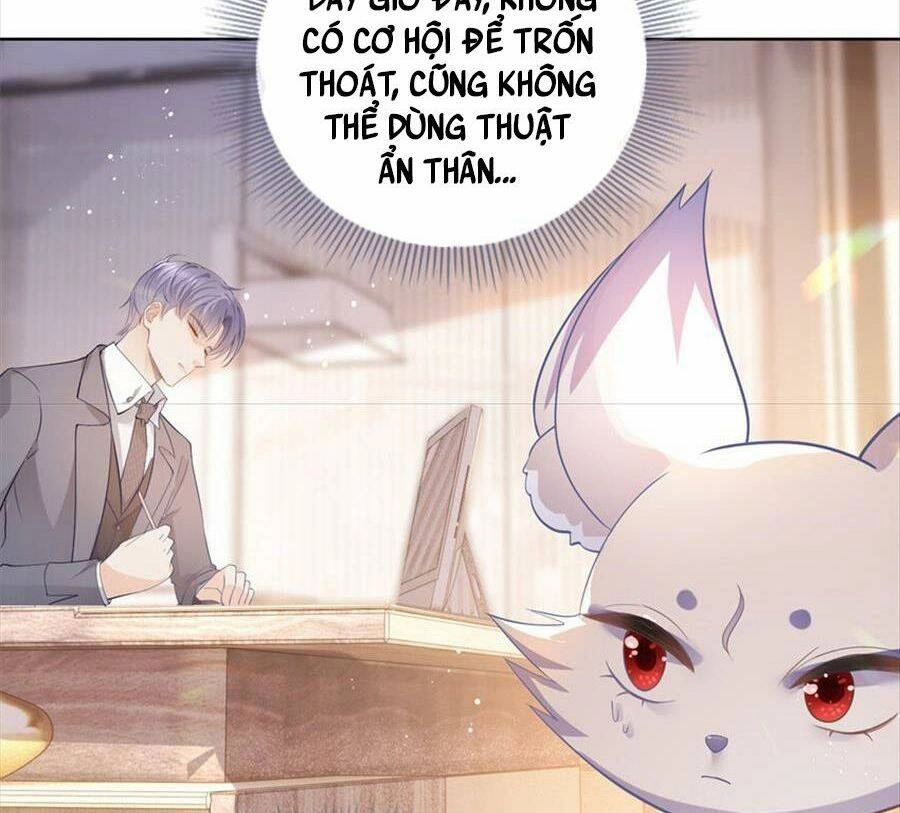 Boss Sát Thủ Dưỡng Hồ Yêu Chapter 72 - 53