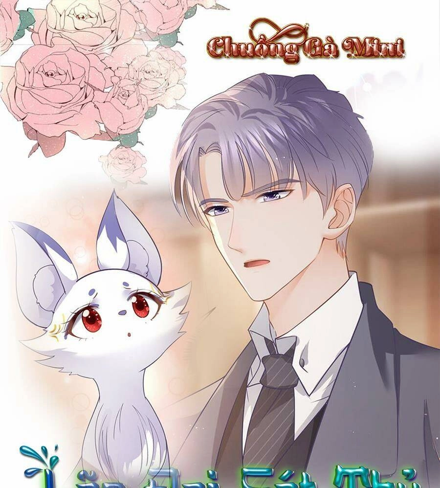 Boss Sát Thủ Dưỡng Hồ Yêu Chapter 73 - 1