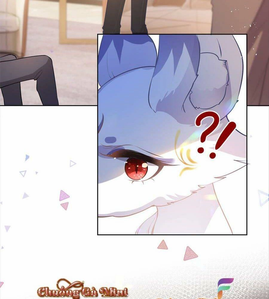 Boss Sát Thủ Dưỡng Hồ Yêu Chapter 73 - 21