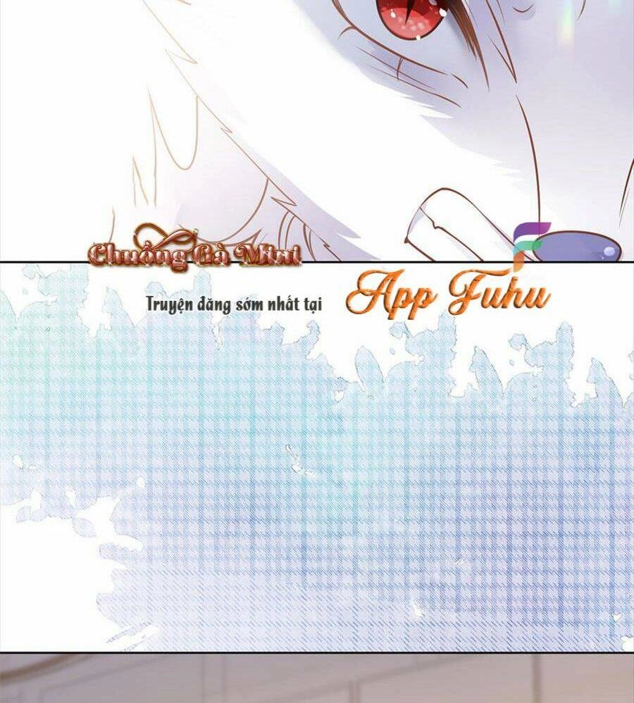 Boss Sát Thủ Dưỡng Hồ Yêu Chapter 73 - 27