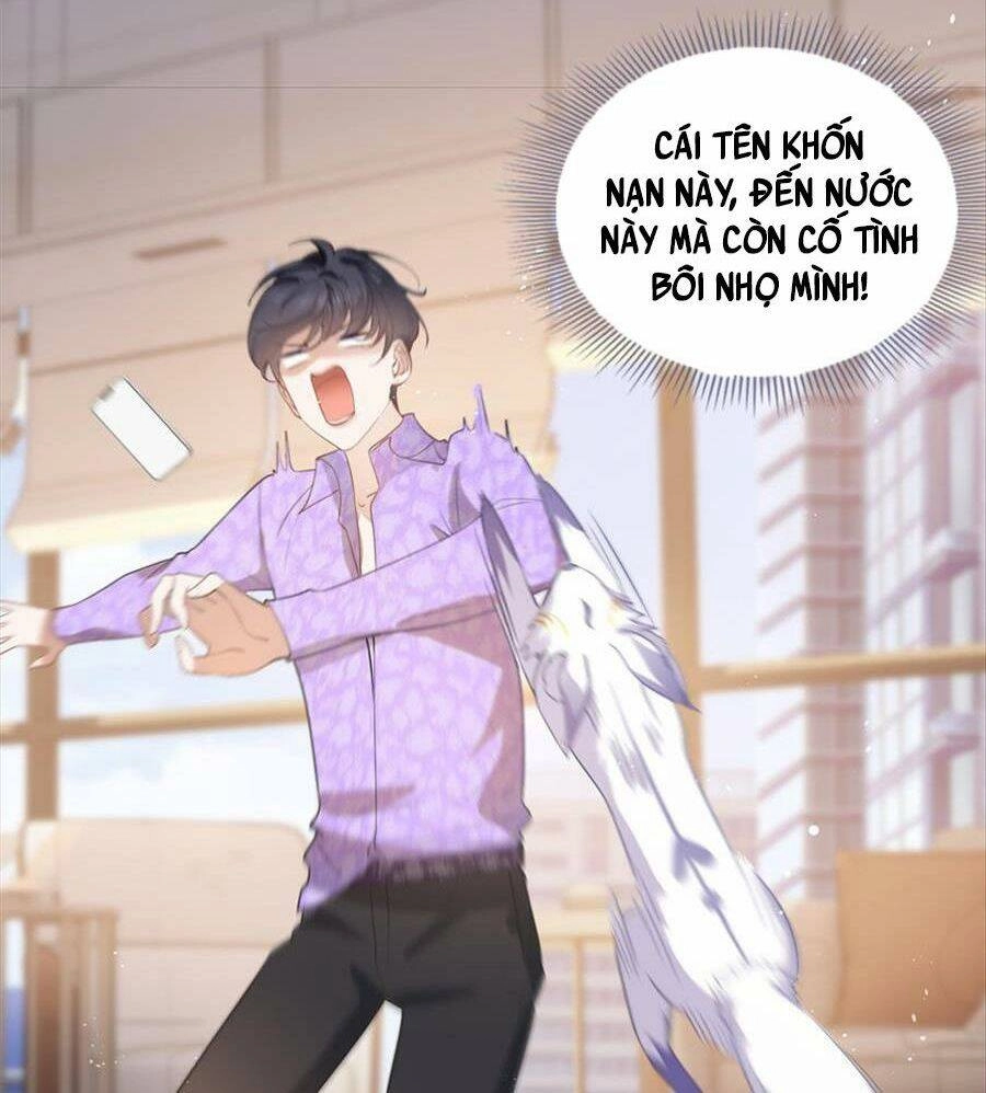 Boss Sát Thủ Dưỡng Hồ Yêu Chapter 73 - 28