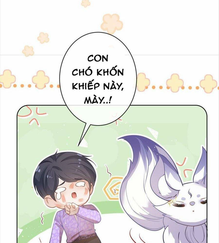 Boss Sát Thủ Dưỡng Hồ Yêu Chapter 73 - 31