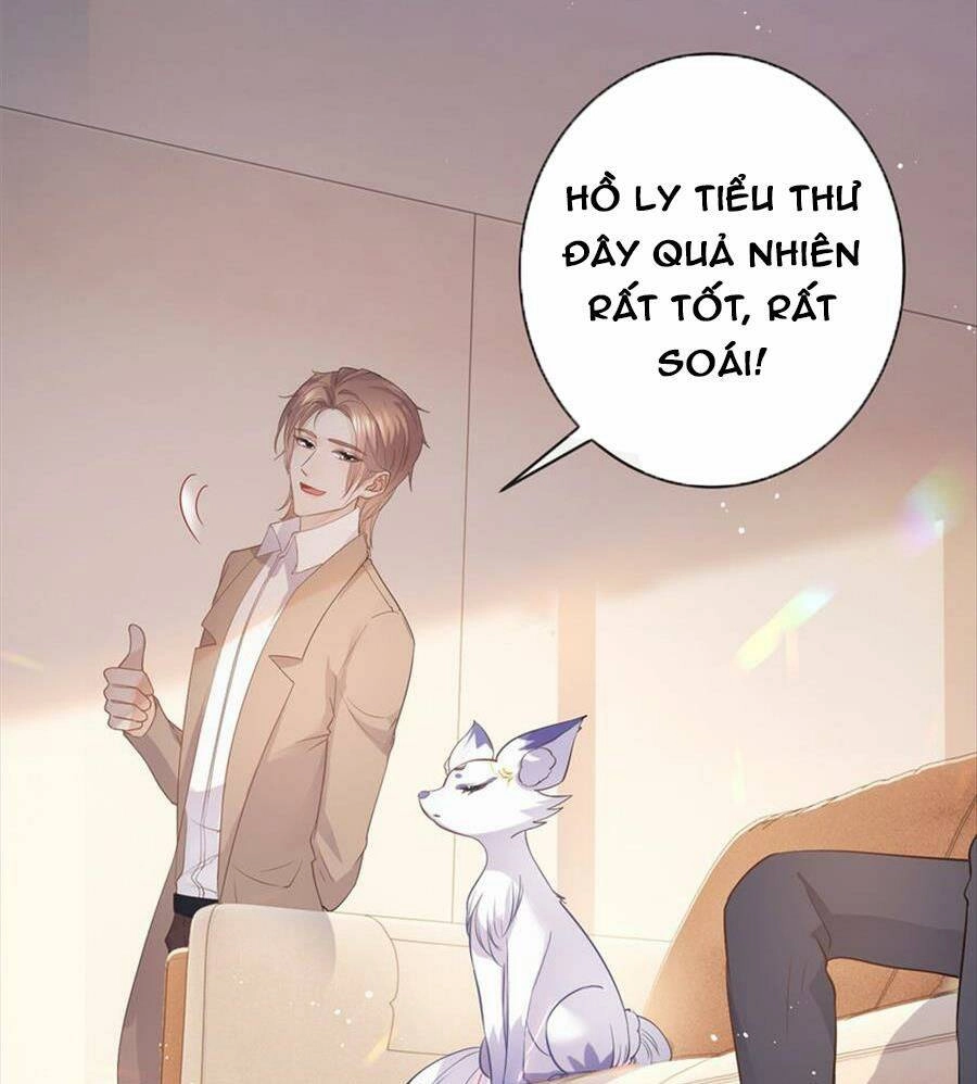 Boss Sát Thủ Dưỡng Hồ Yêu Chapter 73 - 33