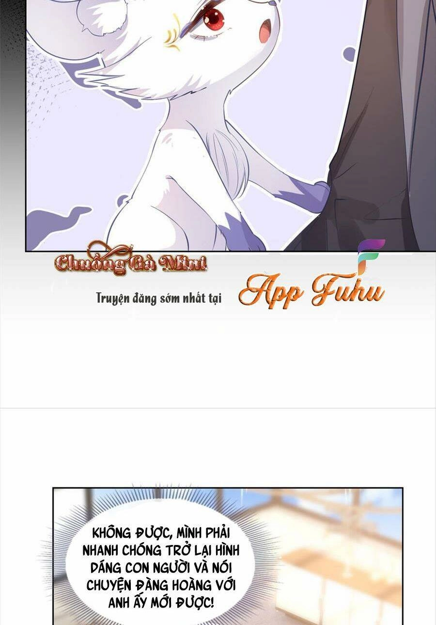 Boss Sát Thủ Dưỡng Hồ Yêu Chapter 75 - 8