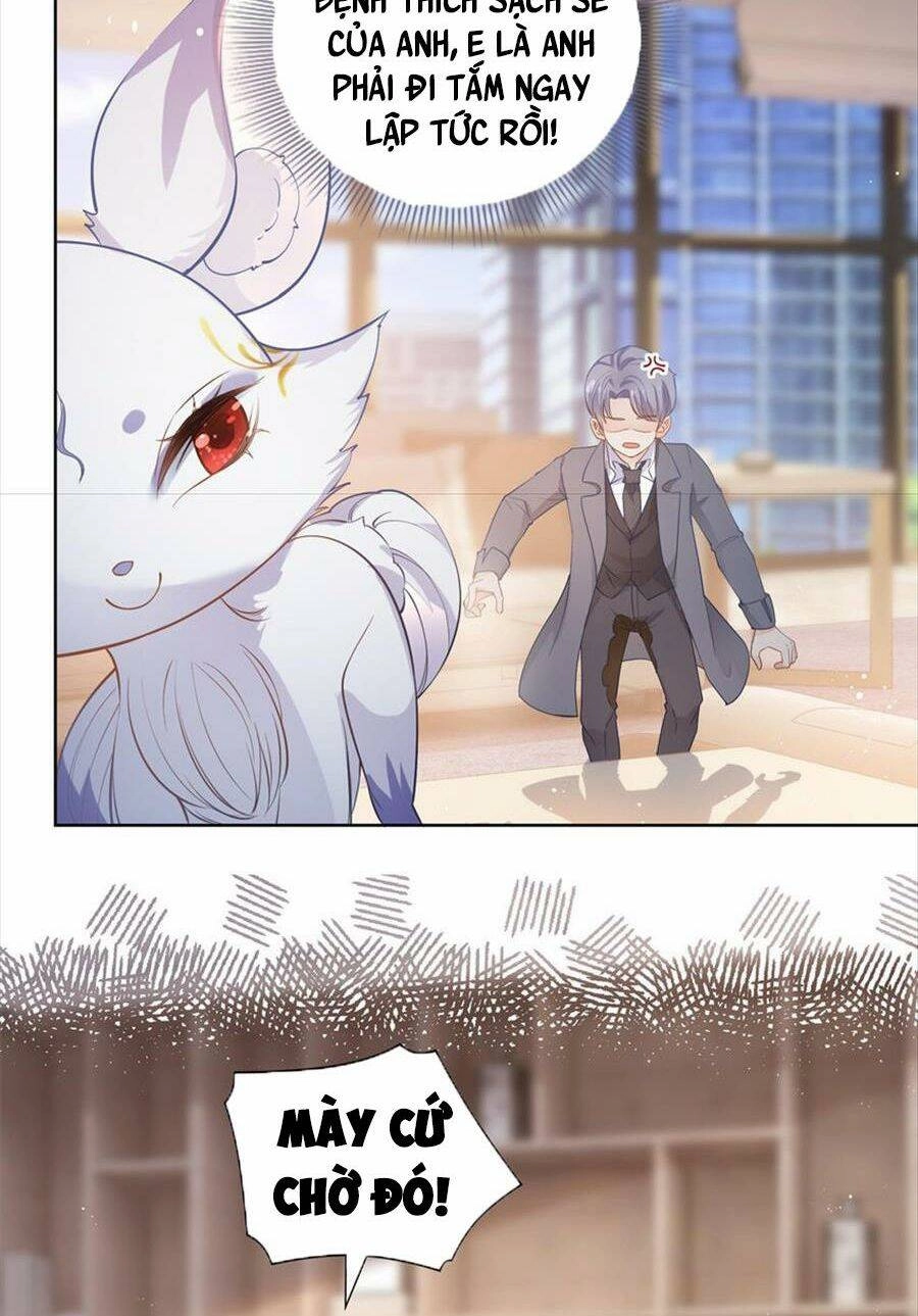 Boss Sát Thủ Dưỡng Hồ Yêu Chapter 75 - 12