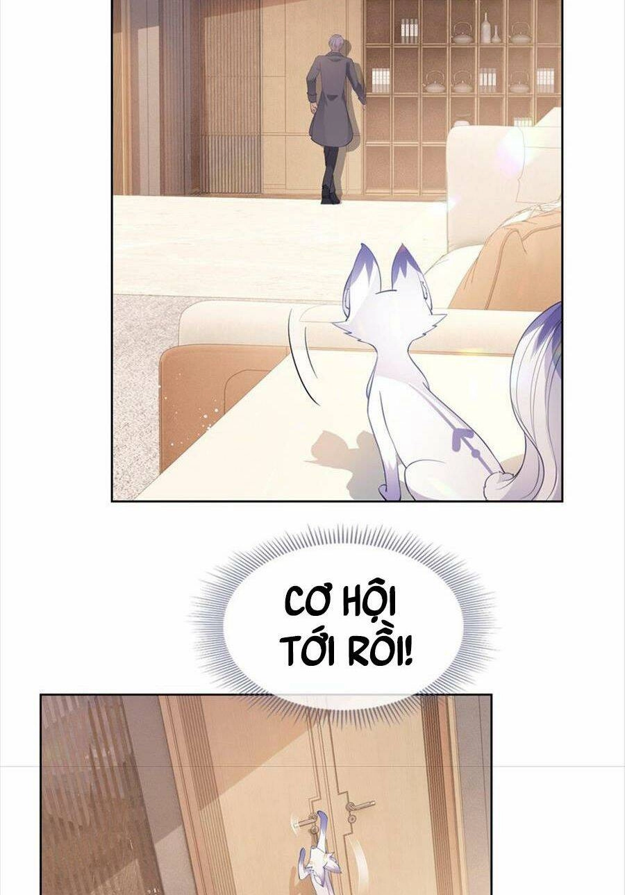 Boss Sát Thủ Dưỡng Hồ Yêu Chapter 75 - 14