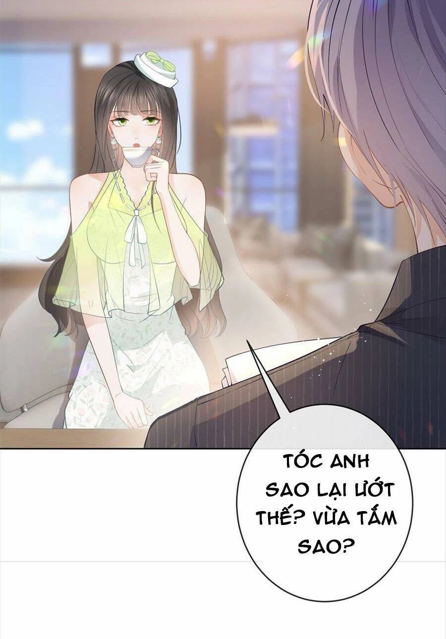 Boss Sát Thủ Dưỡng Hồ Yêu Chapter 75 - 24