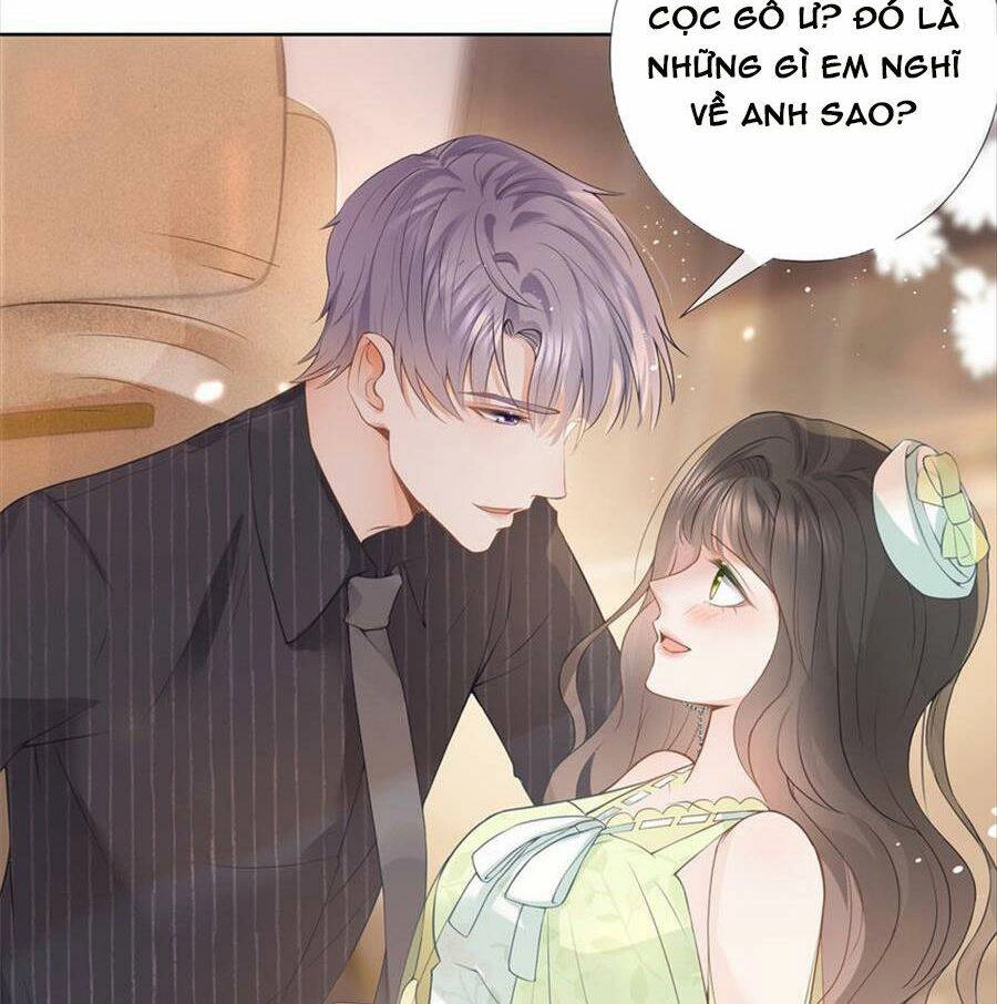 Boss Sát Thủ Dưỡng Hồ Yêu Chapter 77 - 15