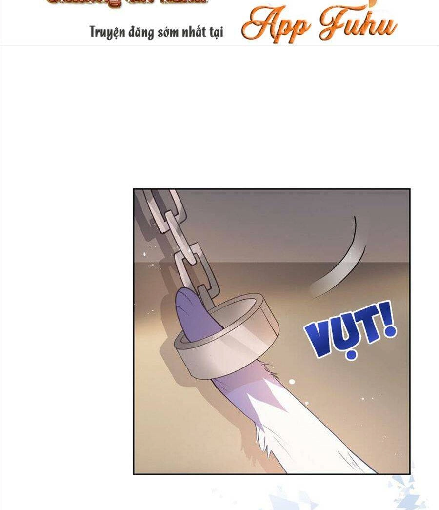 Boss Sát Thủ Dưỡng Hồ Yêu Chapter 81 - 24